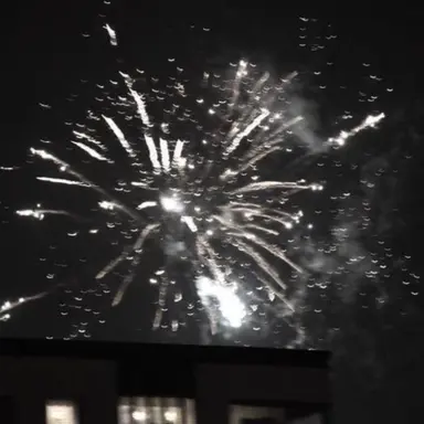 Profile image of 정 형준