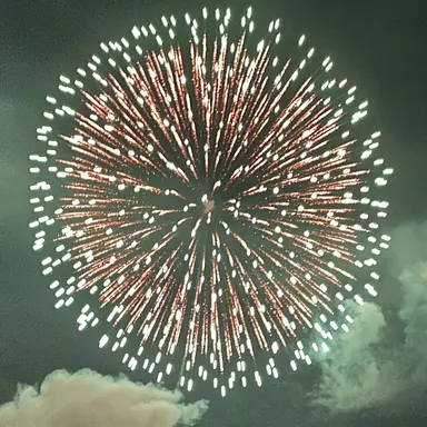 Profile image of 石原智也