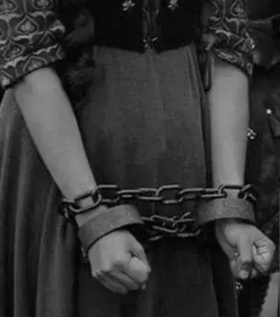 MellowCord7117의 The Werewolf King