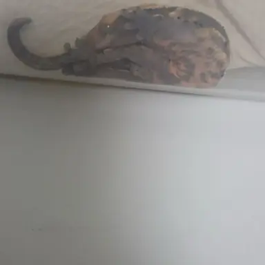 Profile image of 백현