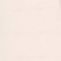 普
