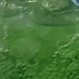 Profile image of クソガキ