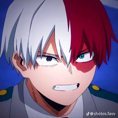 Profile image of 토도로키 쇼토