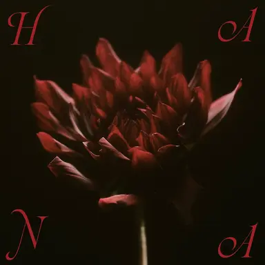 Profile image of HANAのメンバー