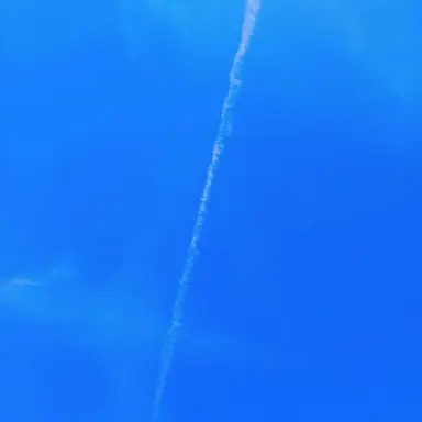 Profile image of 中島 健人