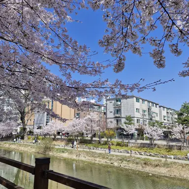 Profile image of 그 외의 쿠키들