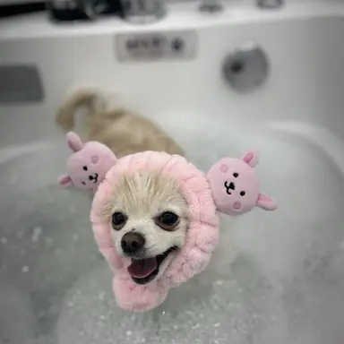 Profile image of 범규