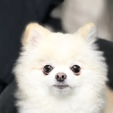 Profile image of 유저