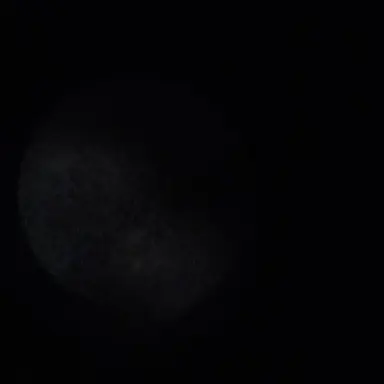 Profile image of 어머니