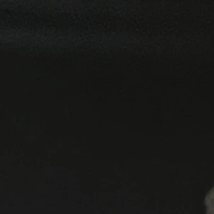 수현
