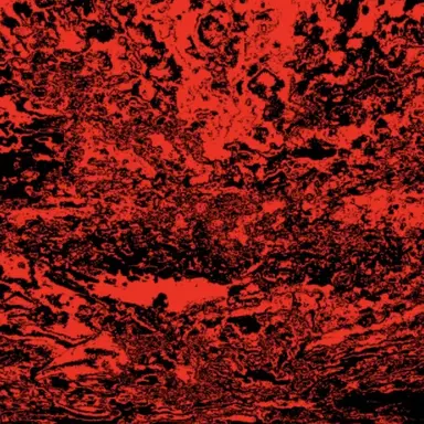 Profile image of 스펙터