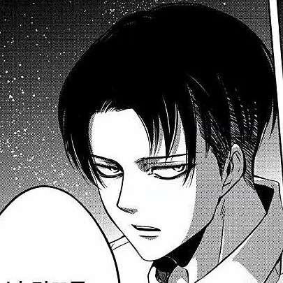 LovedArco5314의 리바이 아커만