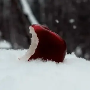 .1004의 그냥 사과로 봐줘