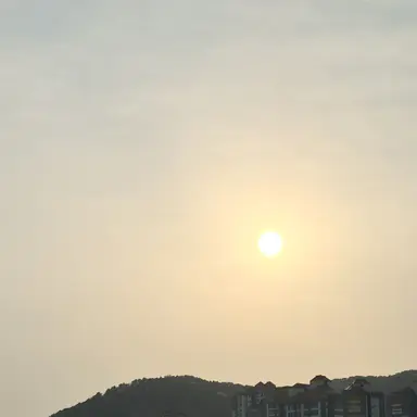 Profile image of 로이스