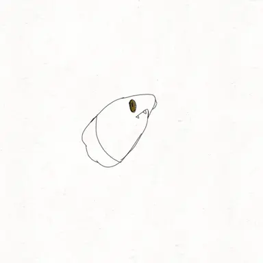 Profile image of 헬륨 피쉬