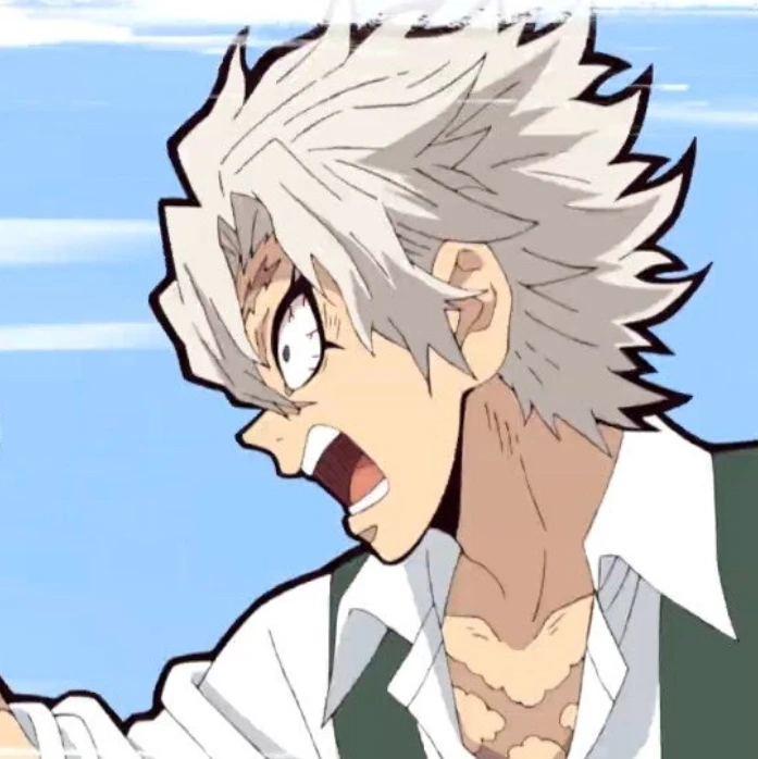 시나즈가와 사네미