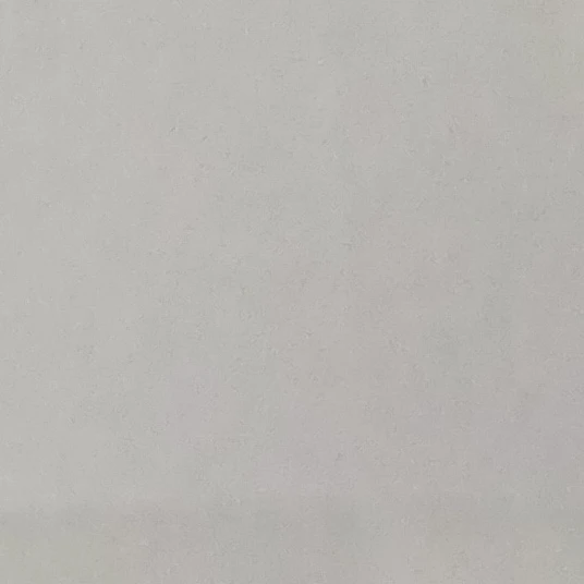 레온 카이스트