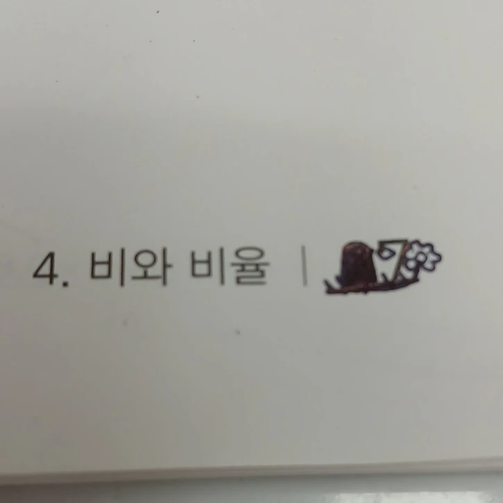 비와 비율