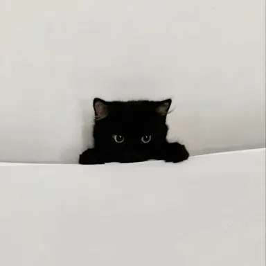 Profile image of 박원빈