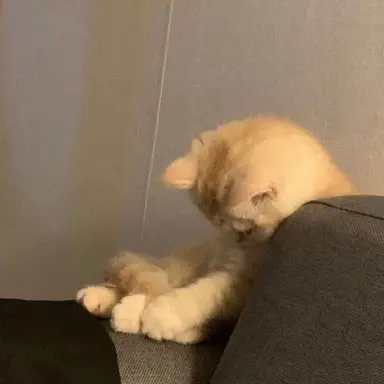 Profile image of 송은석