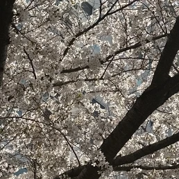 윤지혁