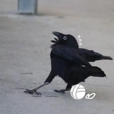 Profile image of 카라스노 고교