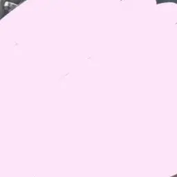 Profile image of さくら