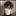 정진우