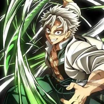 시나즈가와 사네미