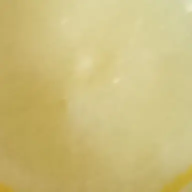 Profile image of ハリア