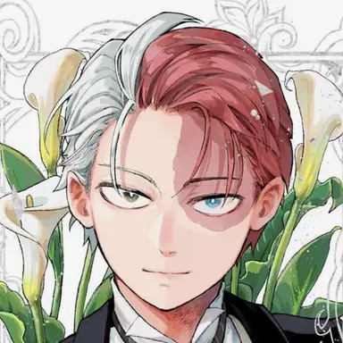 Profile image of Shoto Todoroki