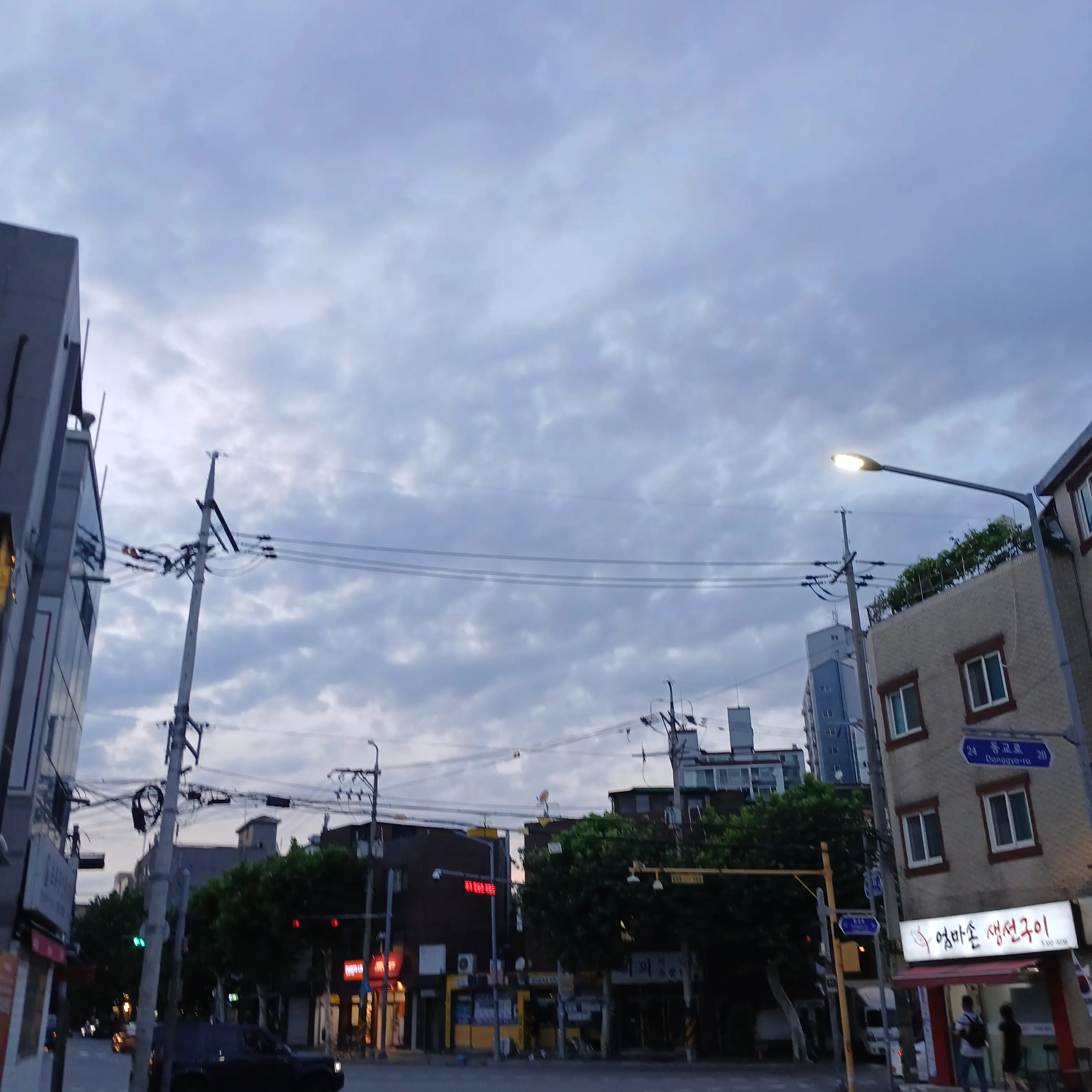 FrankRisk4711의 배우 남편 뜰팁