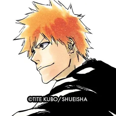 Profile image of Kurosaki Ichigo