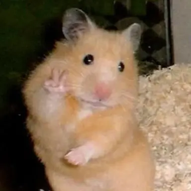 Profile image of 하루토