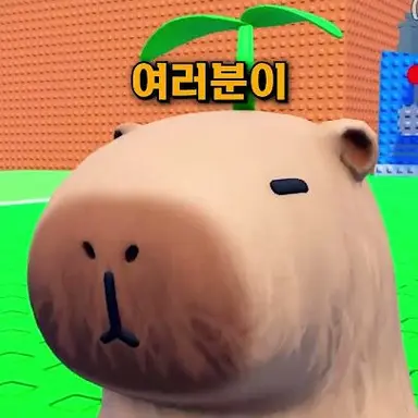 Profile image of 카PD