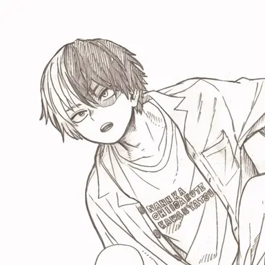 Profile image of Shoto Todoroki