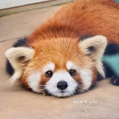 Profile image of 올바른