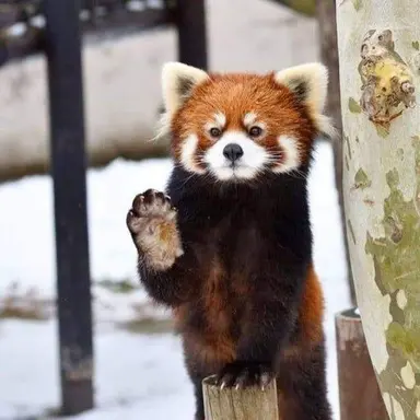 Profile image of 준수