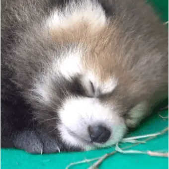 Profile image of 회도