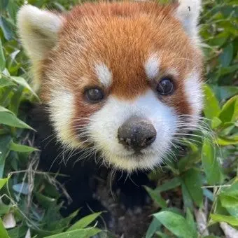 Profile image of 양아치