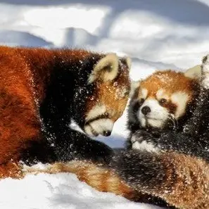 Profile image of 방기봉