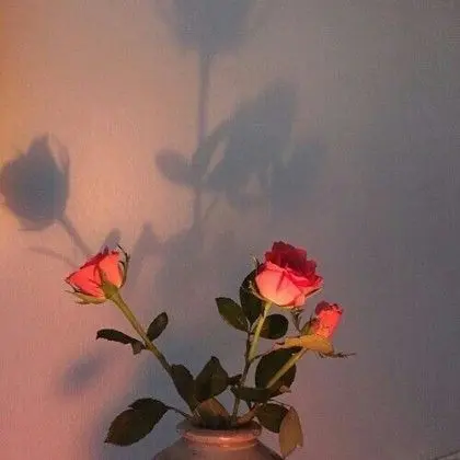 Hi_jk의 솔라볼. 파자마.