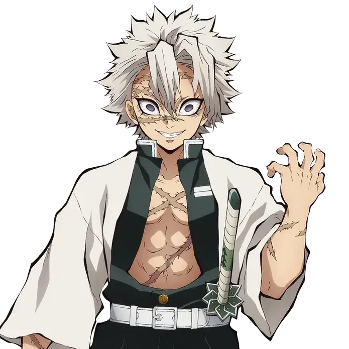 시나즈가와 사네미