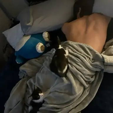 Profile image of Elias