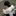 최지호