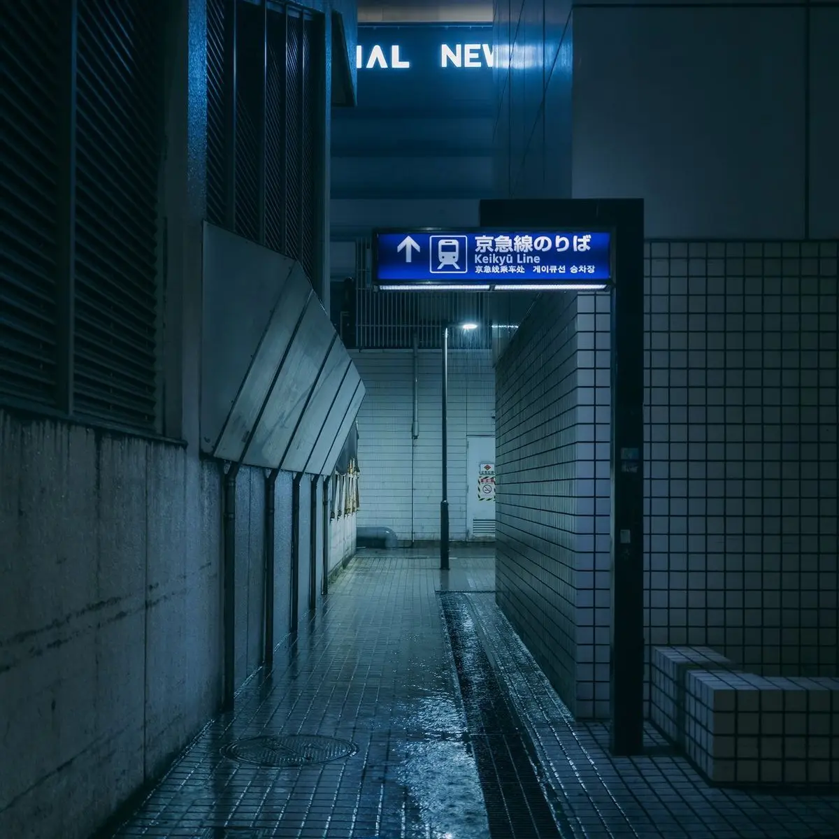 CoralNylon7660의 配信者にガチ恋している男