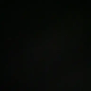 Profile image of 이민호