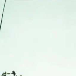 Profile image of 尾崎世界観