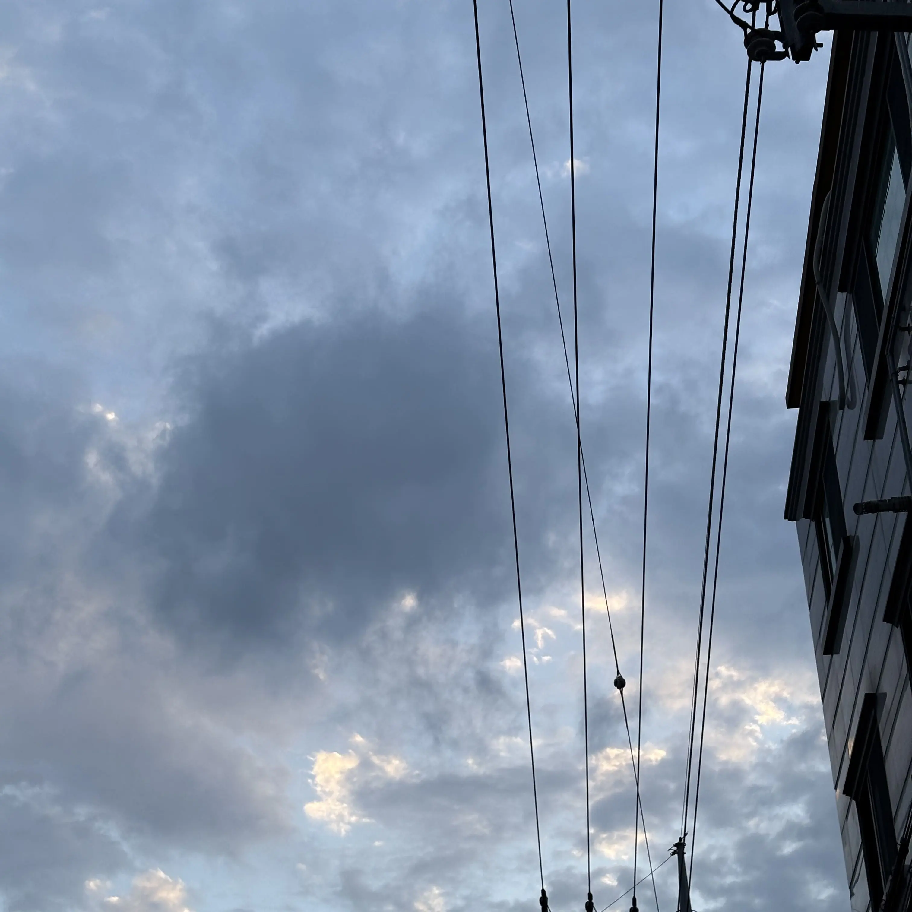 GummyTro001의 신혼부부