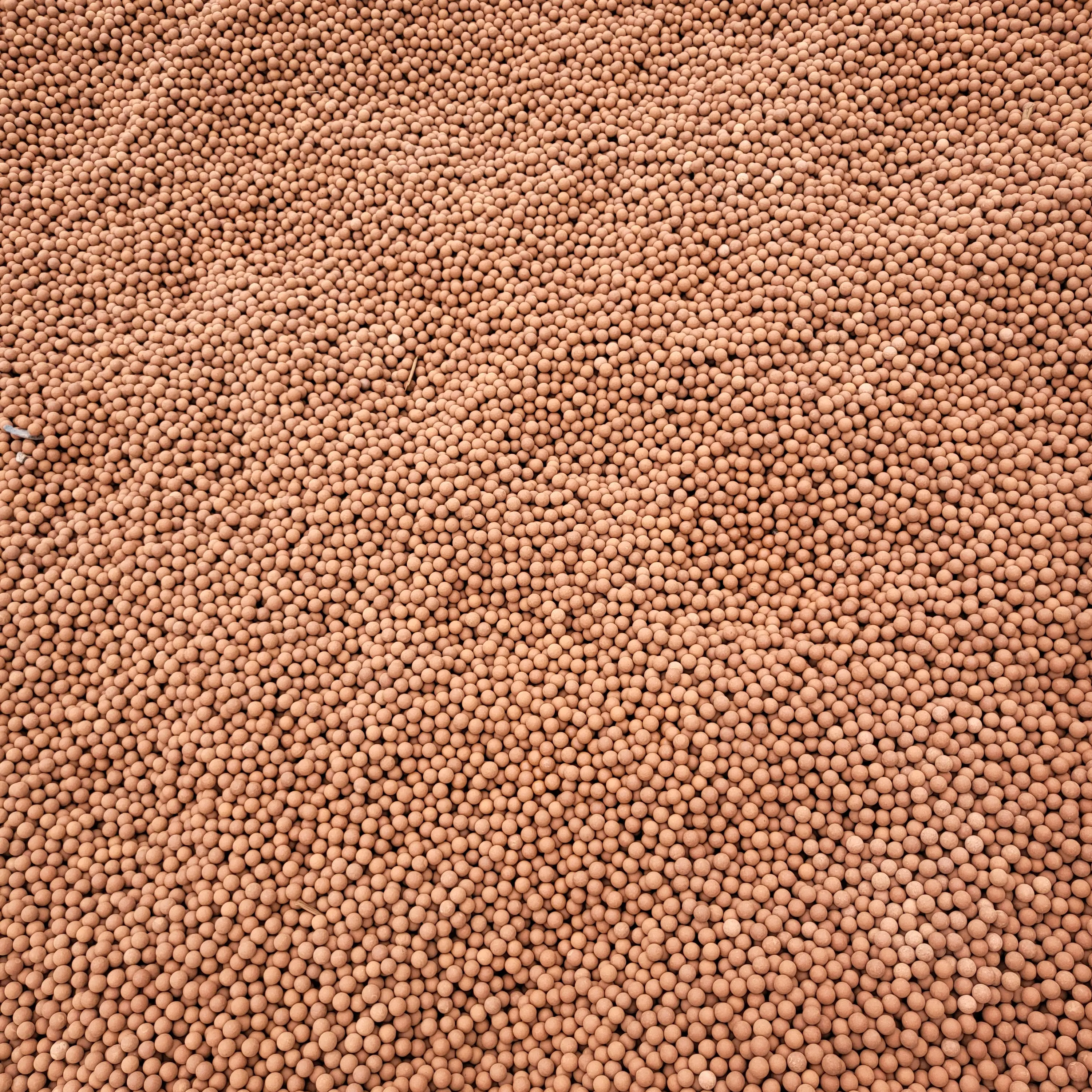 RottenTulip8205의 싸모스와 키스하지 않으면 못나가는 방